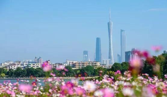 q州加快推进湑“施工图”!